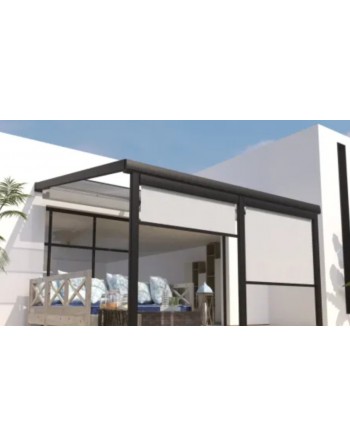 BRISE-VUE FRONTAL EN...